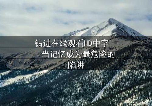 钻进在线观看HD中字 - 当记忆成为最危险的陷阱