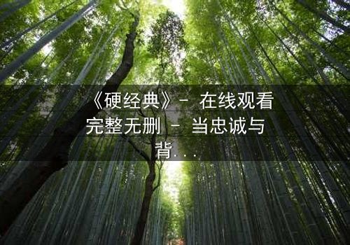 《硬经典》- 在线观看完整无删 - 当忠诚与背叛在枪火中交织
