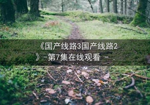 《国产线路3国产线路2》-第7集在线观看 - 1080P超清完整无删