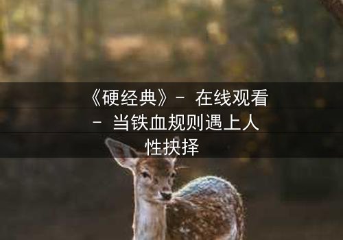 《硬经典》- 在线观看 - 当铁血规则遇上人性抉择