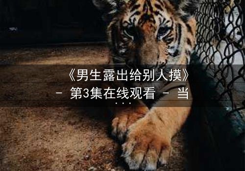 《男生露出给别人摸》- 第3集在线观看 - 当禁忌触碰引爆人性深渊