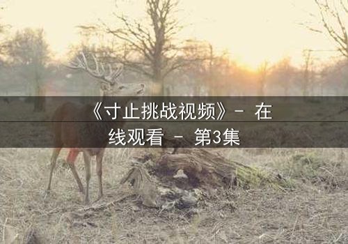 《寸止挑战视频》- 在线观看 - 第3集