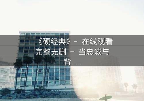 《硬经典》- 在线观看完整无删 - 当忠诚与背叛在枪火中碰撞