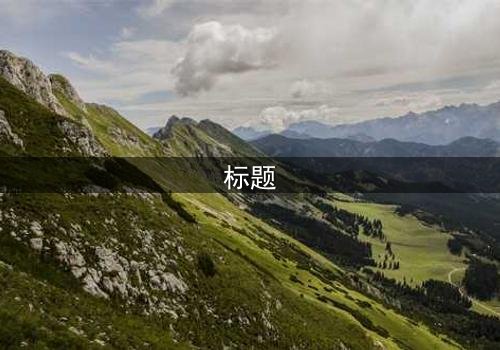 标题