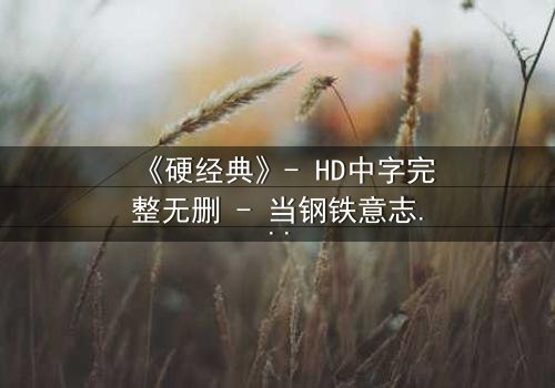 《硬经典》- HD中字完整无删 - 当钢铁意志遭遇人性深渊