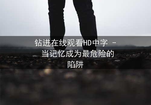 钻进在线观看HD中字 - 当记忆成为最危险的陷阱