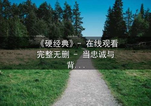 《硬经典》- 在线观看完整无删 - 当忠诚与背叛在枪火中碰撞