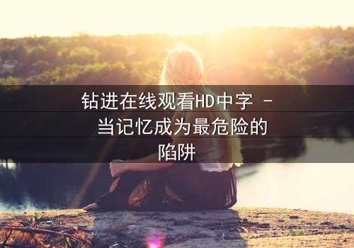 钻进在线观看HD中字 - 当记忆成为最危险的陷阱