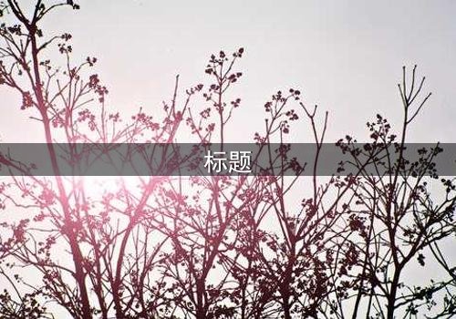 标题