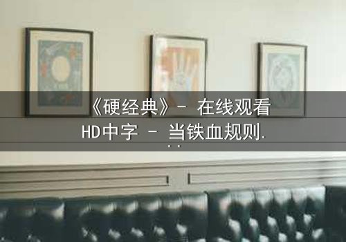 《硬经典》- 在线观看HD中字 - 当铁血规则遭遇人性拷问