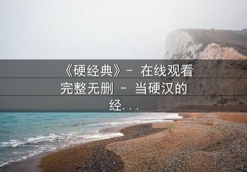 《硬经典》- 在线观看完整无删 - 当硬汉的经典抉择撕裂人生