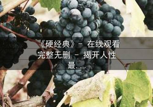 《硬经典》- 在线观看完整无删 - 揭开人性最深处的黑暗与救赎