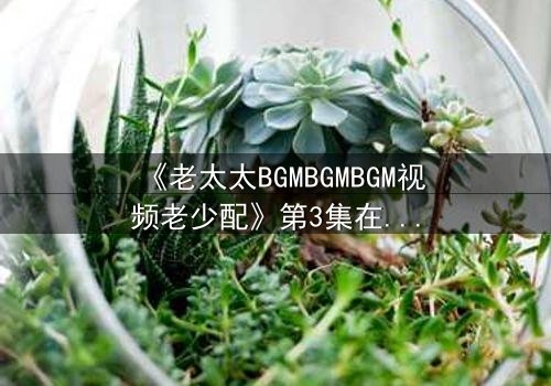《老太太BGMBGMBGM视频老少配》第3集在线观看 - 当传统BGM遇上跨代火花,引爆全网热议!