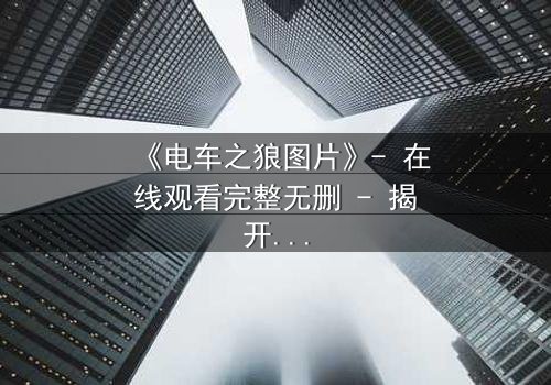 《电车之狼图片》- 在线观看完整无删 - 揭开都市暗面的惊悚之旅