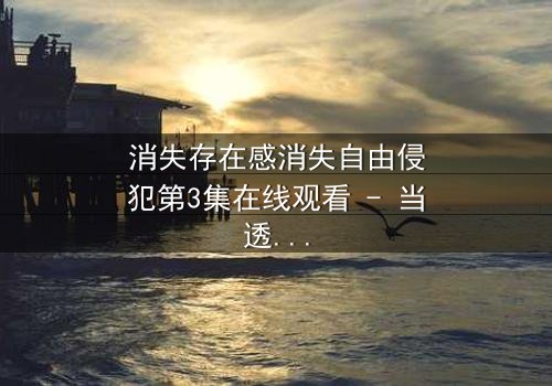 消失存在感消失自由侵犯第3集在线观看 - 当透明人开始反击时