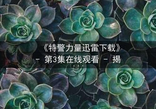 《特警力量迅雷下载》- 第3集在线观看 - 揭开生死救援的终极谜团