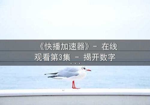 《快播加速器》- 在线观看第3集 - 揭开数字世界的隐秘战争