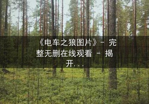 《电车之狼图片》- 完整无删在线观看 - 揭开都市暗影的惊悚之旅