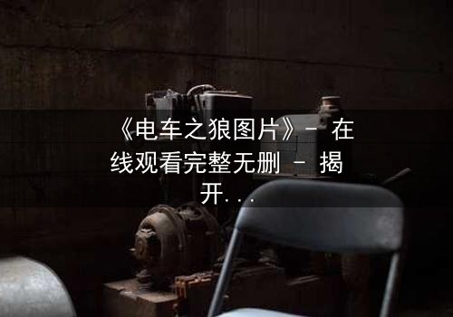 《电车之狼图片》- 在线观看完整无删 - 揭开都市暗影的惊悚之旅