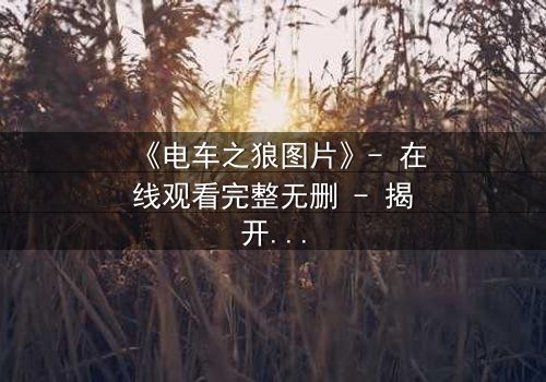 《电车之狼图片》- 在线观看完整无删 - 揭开都市暗影的惊悚之旅