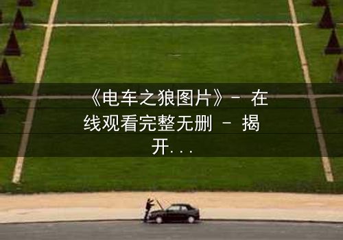 《电车之狼图片》- 在线观看完整无删 - 揭开都市暗影的惊悚之旅