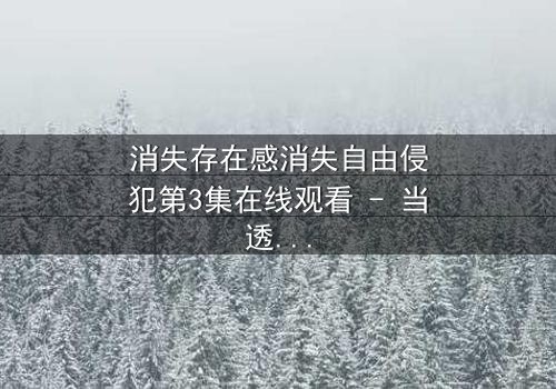 消失存在感消失自由侵犯第3集在线观看 - 当透明人开始反击时