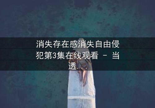 消失存在感消失自由侵犯第3集在线观看 - 当透明人开始反抗