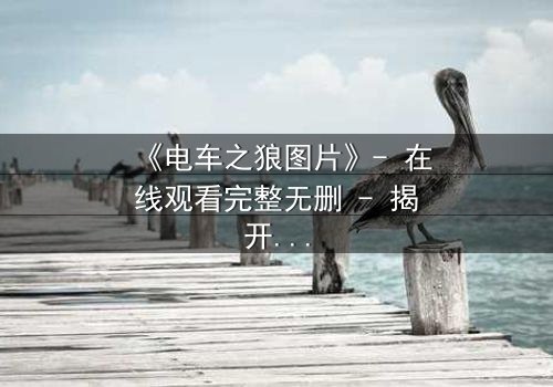 《电车之狼图片》- 在线观看完整无删 - 揭开都市暗面的人性博弈