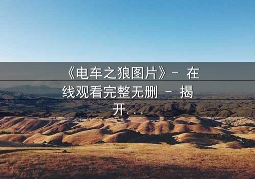 《电车之狼图片》- 在线观看完整无删 - 揭开都市暗面的人性博弈