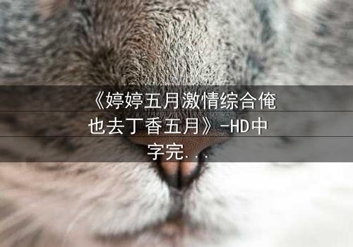 《婷婷五月激情综合俺也去丁香五月》-HD中字完整无删 - 第3集免费1080P超清