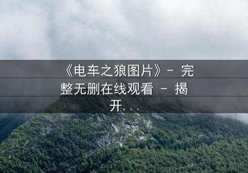 《电车之狼图片》- 完整无删在线观看 - 揭开都市暗面的惊悚之旅