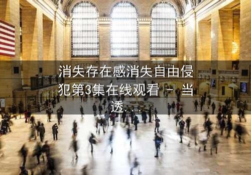 消失存在感消失自由侵犯第3集在线观看 - 当透明人开始反击时