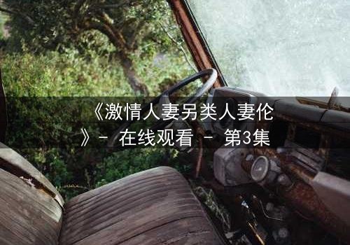 《激情人妻另类人妻伦》- 在线观看 - 第3集