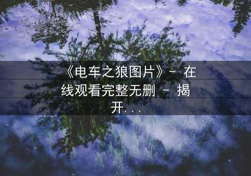 《电车之狼图片》- 在线观看完整无删 - 揭开都市暗面的惊悚之旅