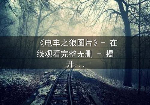 《电车之狼图片》- 在线观看完整无删 - 揭开都市暗面的人性博弈