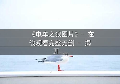 《电车之狼图片》- 在线观看完整无删 - 揭开都市暗面的惊悚之旅