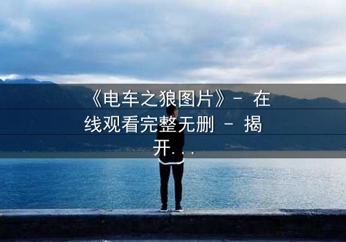 《电车之狼图片》- 在线观看完整无删 - 揭开都市暗面的惊悚之旅