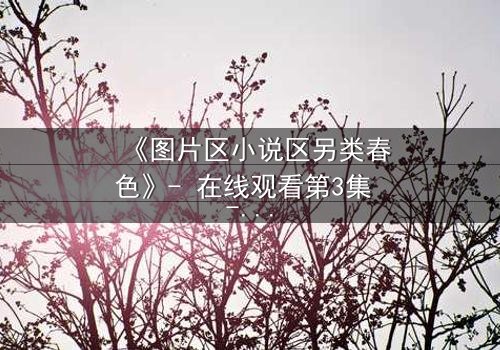 《图片区小说区另类春色》- 在线观看第3集 - 揭开禁忌之恋的隐秘面纱