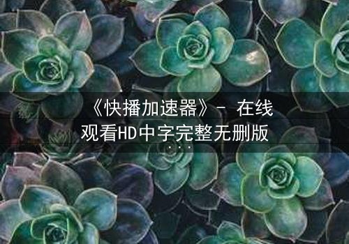 《快播加速器》- 在线观看HD中字完整无删版 - 一场数字风暴的致命诱惑