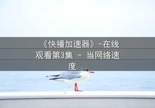 《快播加速器》-在线观看第3集 - 当网络速度决定命运,谁能逃过这场数字风暴?
