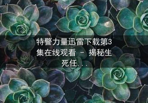 特警力量迅雷下载第3集在线观看 - 揭秘生死任务背后的惊天秘密