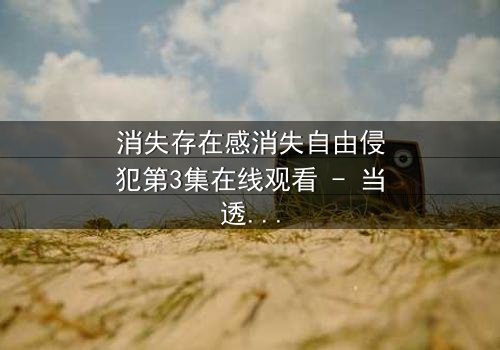 消失存在感消失自由侵犯第3集在线观看 - 当透明人开始反击时