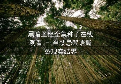 黑暗圣经全集种子在线观看 - 当禁忌咒语撕裂现实结界