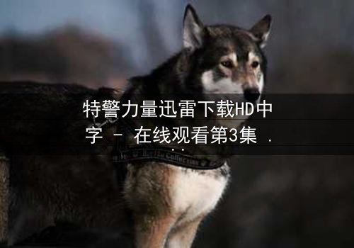 特警力量迅雷下载HD中字 - 在线观看第3集 - 揭秘生死瞬间的忠诚与背叛