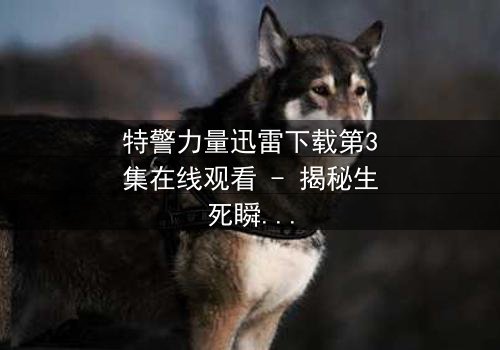 特警力量迅雷下载第3集在线观看 - 揭秘生死瞬间的忠诚抉择