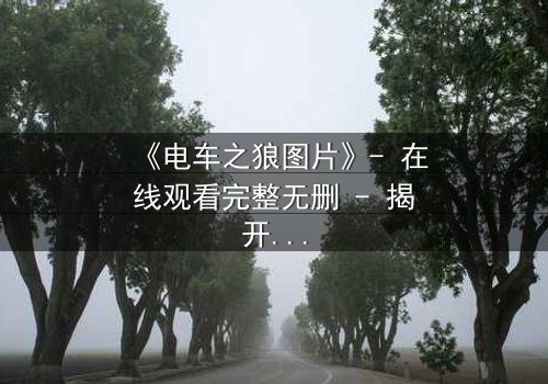 《电车之狼图片》- 在线观看完整无删 - 揭开都市暗面的人性挣扎