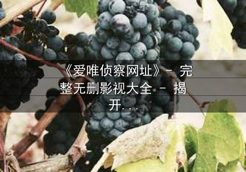 《爱唯侦察网址》- 完整无删影视大全 - 揭开真相的致命诱惑