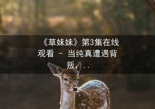 《草妹妹》第3集在线观看 - 当纯真遭遇背叛,她如何绝地反击?