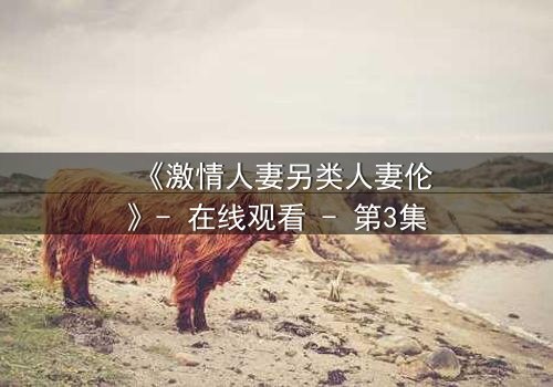 《激情人妻另类人妻伦》- 在线观看 - 第3集