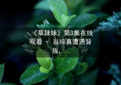 《草妹妹》第3集在线观看 - 当纯真遭遇背叛,谁能守护最后的希望?
